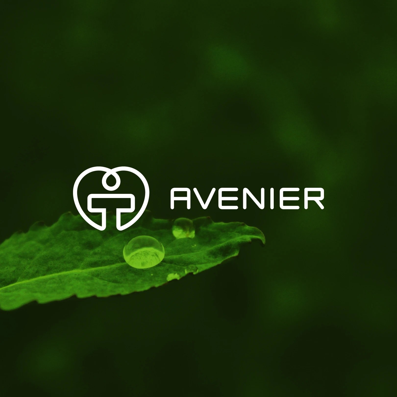 Modernizace firemního loga AVENIER