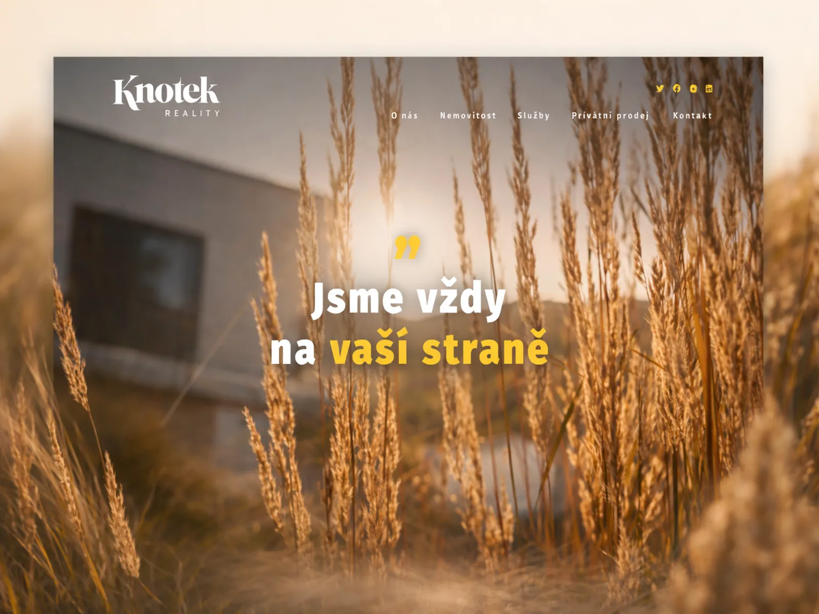 Webové stránky Knotek